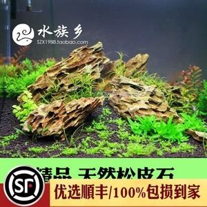 虎皮石魚缸造景的藝術(shù)與技巧：水族箱造景的藝術(shù)與技巧