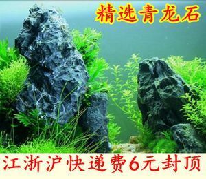 虎皮石魚缸造景的藝術(shù)與技巧：水族箱造景的藝術(shù)與技巧