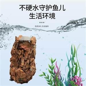 虎皮石魚缸造景的藝術(shù)與技巧：水族箱造景的藝術(shù)與技巧