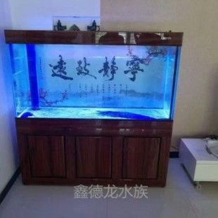 河南固始縣賣魚缸店鋪：固始縣賣魚缸的店鋪