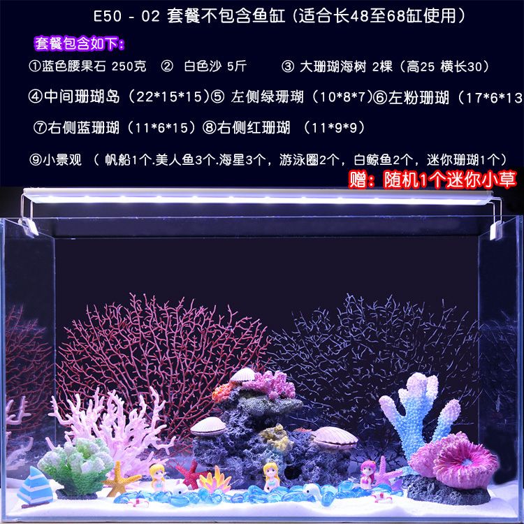 生態(tài)魚缸和海景魚缸哪個好用：海景魚缸和生態(tài)魚缸哪個好用 魚缸百科 第4張