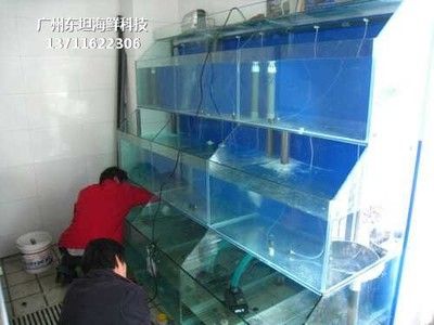 海鮮魚池魚缸設(shè)計(jì)圖紙的應(yīng)用：如何獲取海鮮魚池魚缸設(shè)計(jì)圖紙 魚缸百科 第4張