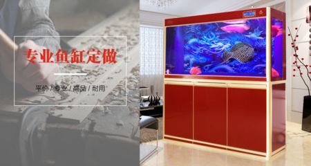 魚(yú)缸安裝與維護(hù)指南：定制魚(yú)缸時(shí)需要注意以下幾個(gè)細(xì)節(jié)問(wèn)題 魚(yú)缸百科 第1張