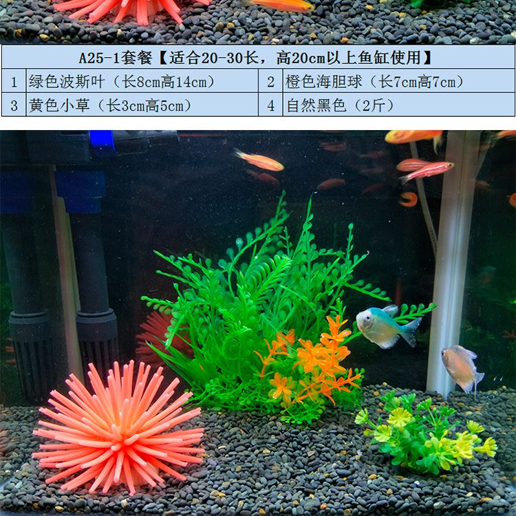 繁殖七彩神仙魚的技巧：七彩神仙魚的繁殖技巧 魚缸百科 第3張