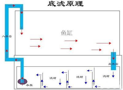 怎樣在底濾魚缸中培養(yǎng)硝化細(xì)菌：如何在底濾魚缸中培養(yǎng)硝化細(xì)菌