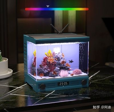 漢霸魚缸是怎樣的一款魚缸？：漢霸魚缸與其他品牌對比分析漢霸魚缸在市場上的位置