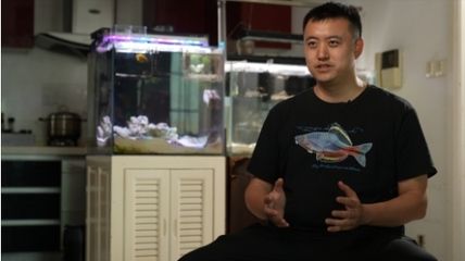 海王魚缸廠家全稱叫什么名字啊 魚缸百科 第1張