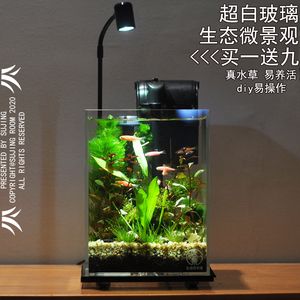 魚缸造景燈的種類與功能魚缸造景燈的種類與功能：如何選擇合適的水族箱造景燈 魚缸百科 第1張