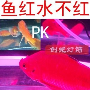 魚缸安裝的技巧與誤區(qū)：幻彩水族魚缸安裝技巧與誤區(qū)魚缸安裝技巧與誤區(qū)