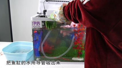 魚缸消毒處理方法：剛買回來的魚缸常見的魚缸消毒處理方法及消毒方法 魚缸百科 第1張