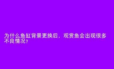 魚缸背景顏色的選擇原則：如何選擇魚缸背景顏色 魚缸百科 第1張