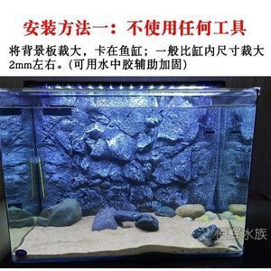 黑色背景魚缸適合養(yǎng)什么魚熱帶魚混養(yǎng)指南熱帶魚混養(yǎng)指南：黑色背景的魚缸適合養(yǎng)什么魚金龍魚飼養(yǎng)技巧 魚缸百科 第1張