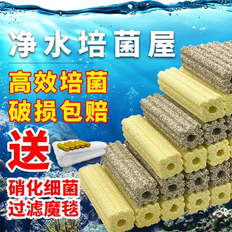 底濾魚缸過濾系統(tǒng)的使用技巧,底濾魚缸的使用技巧：底濾魚缸使用技巧 魚缸百科 第3張