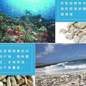 魚(yú)缸定做服務(wù)的店鋪：水族工程公司水族工程水族館：在海城提供魚(yú)缸定做服務(wù)的店鋪 魚(yú)缸百科 第3張