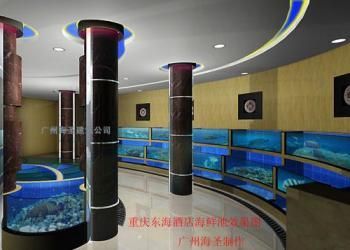 廣州洋清水族科技有限公司提供的大型亞克力魚缸價格為10000元：如何選擇家用魚缸 魚缸百科 第3張