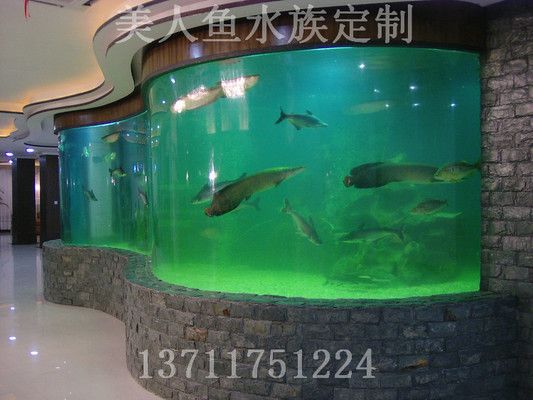 花都區(qū)新華鴻海水族館：廣州市花都區(qū)新華鴻海水族館 魚(yú)缸百科 第1張