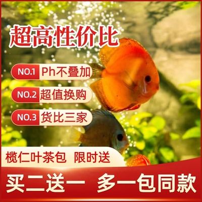 魚缸水質(zhì)管理的全面指南：橄欖葉在魚缸中的使用方法