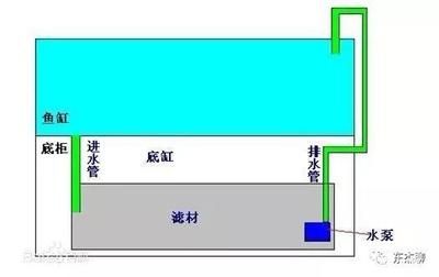 底濾魚缸排水慢是由多種原因造成的：底濾魚缸下水慢怎么辦 魚缸百科 第1張