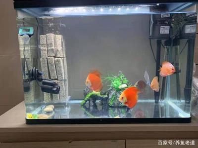 方形小魚缸怎樣開缸和造景的信息對您有所幫助：方形小魚缸怎樣開缸和造景