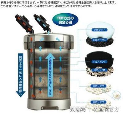 底濾魚缸的溢流方式有哪些？：底濾魚缸的故障診斷與維修 魚缸百科 第4張