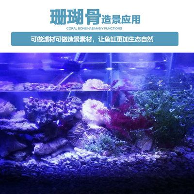 魚缸造景的技巧與挑戰(zhàn)：海沙造景的技巧與挑戰(zhàn) 魚缸百科 第1張