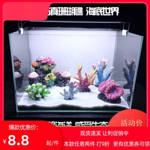 淡水魚缸與海水魚缸的區(qū)別：海邊撿的珊瑚石能否放入魚缸 魚缸百科 第1張