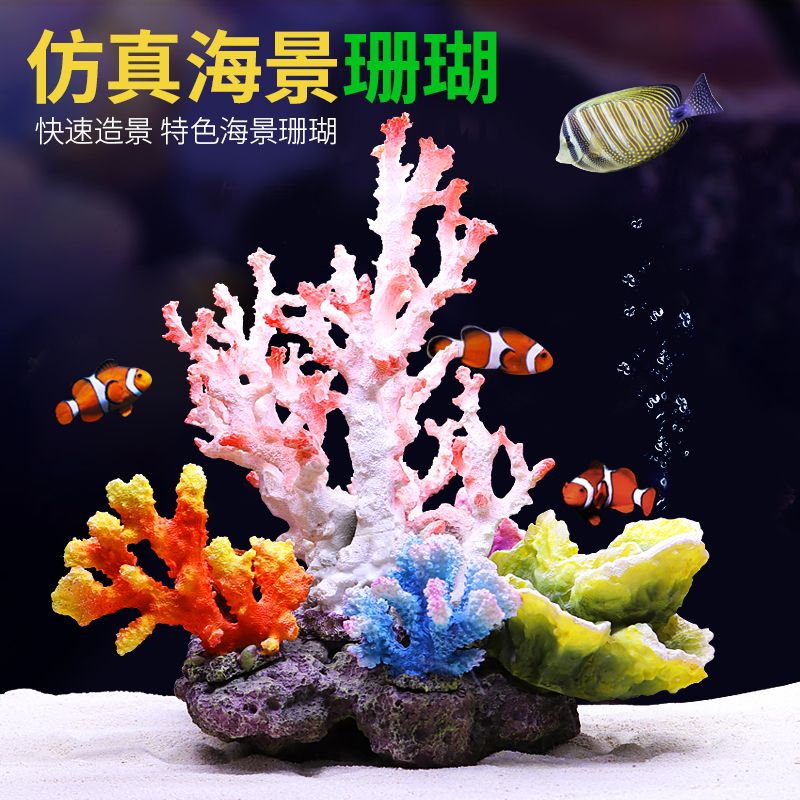 淡水魚缸與海水魚缸的區(qū)別：海邊撿的珊瑚石能否放入魚缸 魚缸百科 第3張