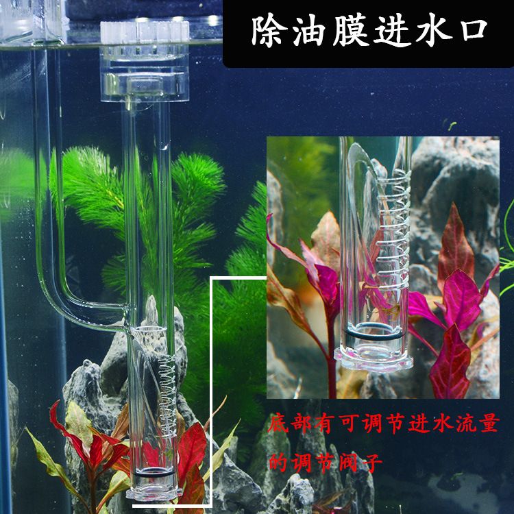 魚缸過濾系統(tǒng)維護(hù)魚缸過濾系統(tǒng)維護(hù)魚缸過濾系統(tǒng)選擇指南：魚缸過濾器的選擇 魚缸百科 第1張