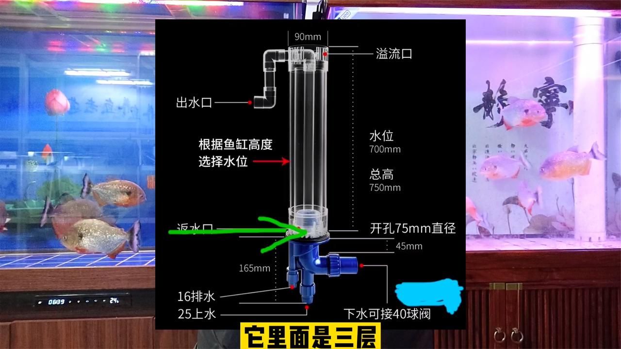 底濾魚(yú)缸出水口最佳位置圖，養(yǎng)魚(yú)風(fēng)水學(xué)在中國(guó)傳統(tǒng)文化中：底濾魚(yú)缸出水口最佳位置圖怎么設(shè)計(jì) 魚(yú)缸百科 第2張