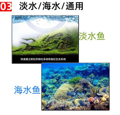 淡水魚(yú)缸生態(tài)系統(tǒng)的構(gòu)成：如何維護(hù)淡水魚(yú)缸生態(tài)系統(tǒng) 魚(yú)缸百科 第2張