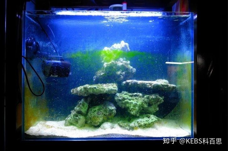 魚缸品牌大全】國內(nèi)魚缸品牌排行榜魚缸品牌排行榜：國內(nèi)魚缸十大品牌大全 魚缸百科 第2張