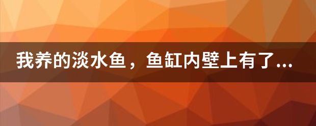 魚缸除青苔的幾種方法：淡水魚缸長青苔怎么處理淡水魚缸長青苔的處理技巧 魚缸百科 第3張