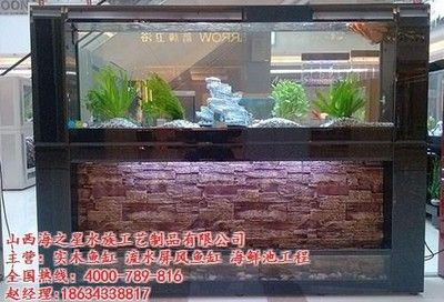 山西海之星水族工藝制品有限公司魚缸風(fēng)水布局指南：山西海之星水族工藝制作有限公司 魚缸百科 第3張