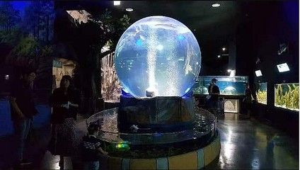 水族箱品牌排名：全球十大水族品牌排名 魚(yú)缸百科 第1張