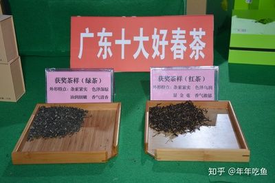 紅茶茶葉可以倒入魚缸里嗎：普洱茶養(yǎng)魚好嗎紅茶茶葉可以倒在魚缸里嗎