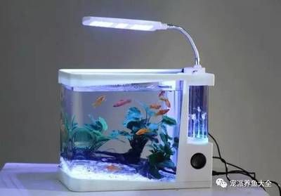 非凡水族魚缸怎么安裝視頻魚缸安裝常見誤區(qū)新手可能會犯：非凡水族魚缸怎么安裝