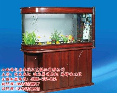 漢川市魚多多水族金魚店：漢川市幾個(gè)可能賣魚缸的地方 魚缸百科 第1張