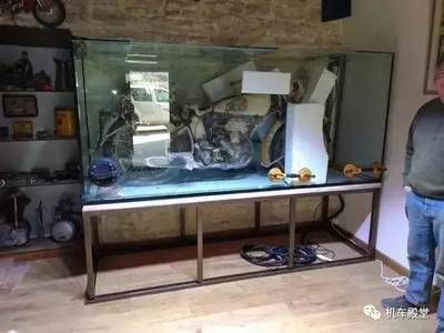 漢川市魚多多水族金魚店：漢川市幾個(gè)可能賣魚缸的地方 魚缸百科 第3張