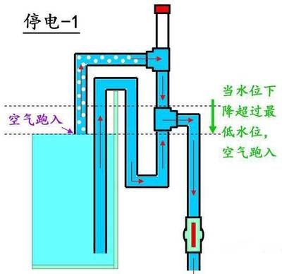 底濾魚缸維修指南：底濾魚缸溢水可能由以下幾個(gè)原因引起：底濾魚缸溢水