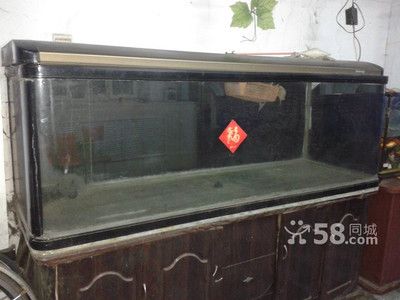 哈爾濱二手魚缸批發(fā)市場：哈爾濱二手魚缸交易 魚缸百科 第1張