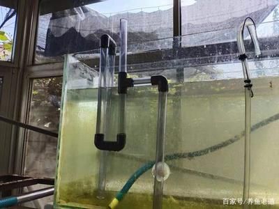 解決底濾魚缸下水管堵塞的幾種方法：底濾魚缸下水管堵塞怎么辦 魚缸百科 第3張