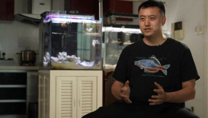 生態(tài)魚缸設計理念與實踐生態(tài)魚缸設計理念與技術應用：濰坊市寒亭區(qū)海王水族魚缸 魚缸百科 第4張