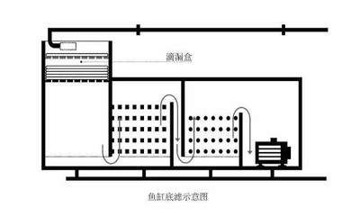 文氏管在魚缸中的應(yīng)用：底濾魚缸出水口改造的藝術(shù)