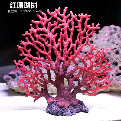 紅珊瑚魚(yú)缸造景指南海洋生物攝影指南海洋生物攝影指南：海洋生物攝影技巧 魚(yú)缸百科 第2張