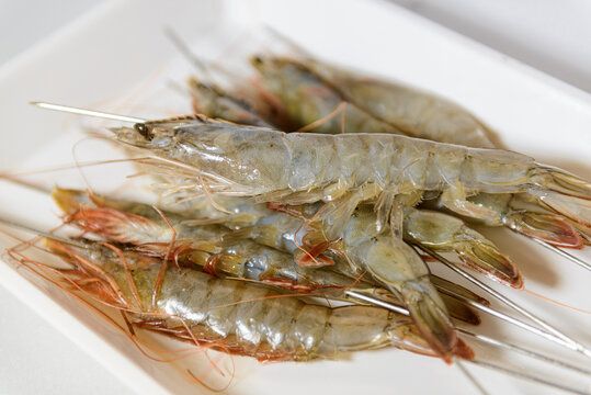 龍魚可以吃青蝦，但在喂食過程中需要注意青蝦的頻率：龍魚可以吃青蝦