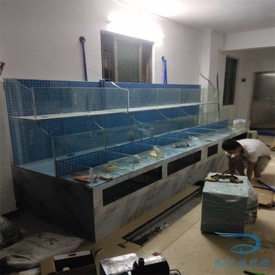 海鮮池魚缸制作視頻教程和技巧和注意事項：海鮮池魚缸制作過程和技巧：diy海鮮池魚缸制作視頻教程 魚缸百科 第3張