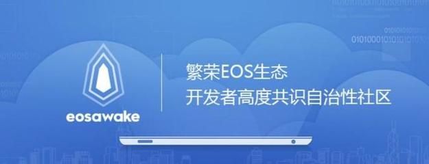 廣東魚缸造景招生信息：選擇合適的魚缸造景培訓課程：廣東魚缸造景培訓 魚缸百科 第3張