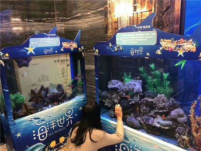 方形魚缸造景技巧：方形魚缸海洋造景技巧 魚缸百科 第4張