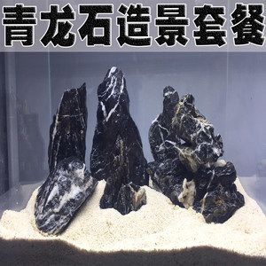 魚缸放置石頭的注意事項：風(fēng)水學(xué)中魚缸放石頭是否合適之前需要了解風(fēng)水學(xué)的基本原則 魚缸百科 第1張