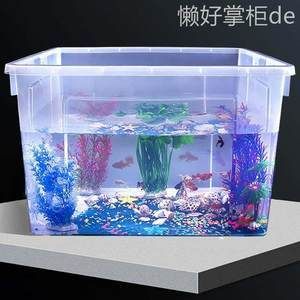 觀賞魚的種類有哪些？：泰國斗魚觀賞魚類觀賞魚，紅劍魚適合新手和懶人養(yǎng)魚人